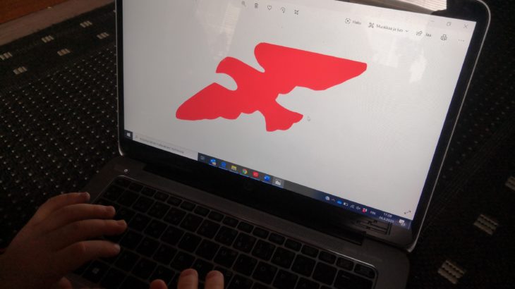 Lapsen kädet tietokoneella, tietokoneen ruudulla Nuorten Kotkien logo